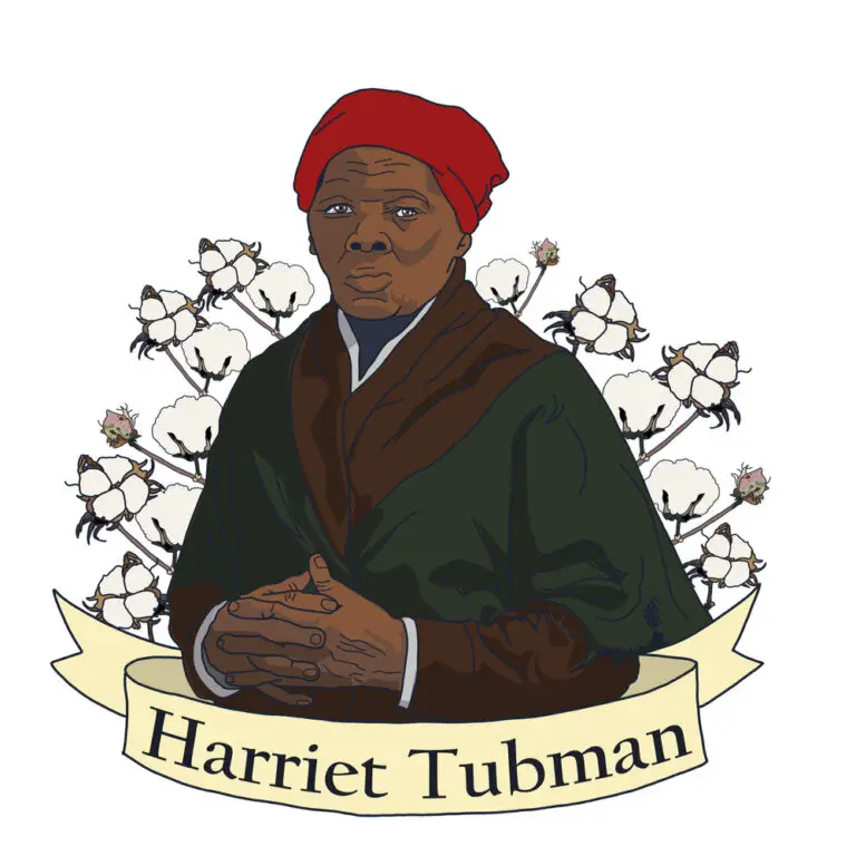 Illustration of abolitionist Harriet Tubman surrounded by cotton plants.