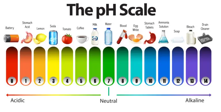 Visual representation of the pH scale from 0 to 14 with corresponding colors and everyday substances to represent different pH levels.