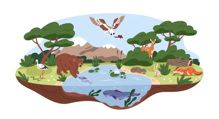 An illustration showcasing biodiversity with various animals like a bear, an eagle, and a kangaroo in a forest ecosystem around a pond.