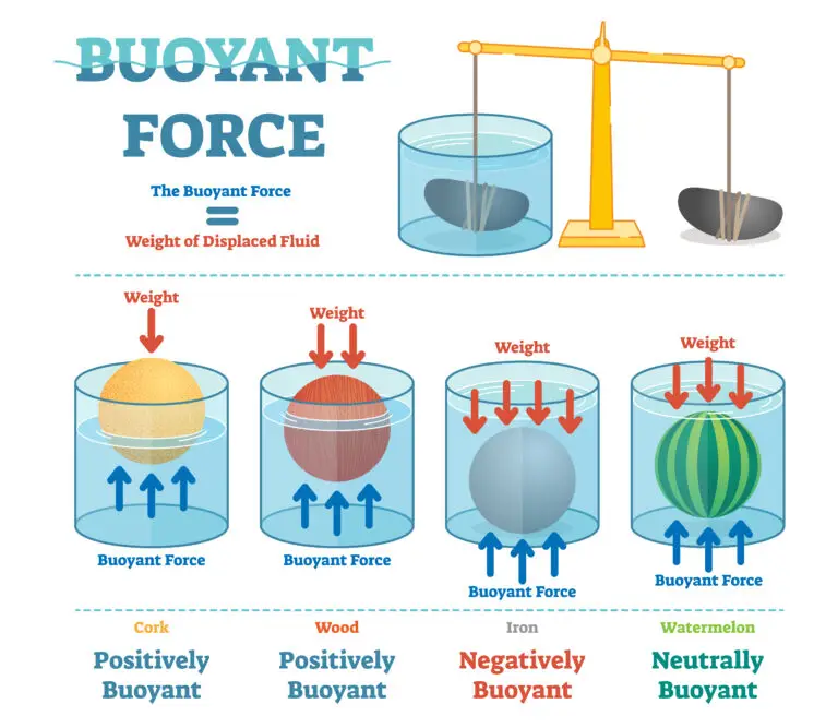 Educational diagram depicting buoyant force with objects in water: a cork and wood are positively buoyant, iron is negatively buoyant, and a watermelon is neutrally buoyant.