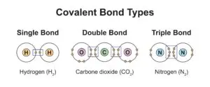 Illustration showing types of covalent bonds in molecules: a single bond in hydrogen, a double bond in carbon dioxide, and a triple bond in nitrogen.