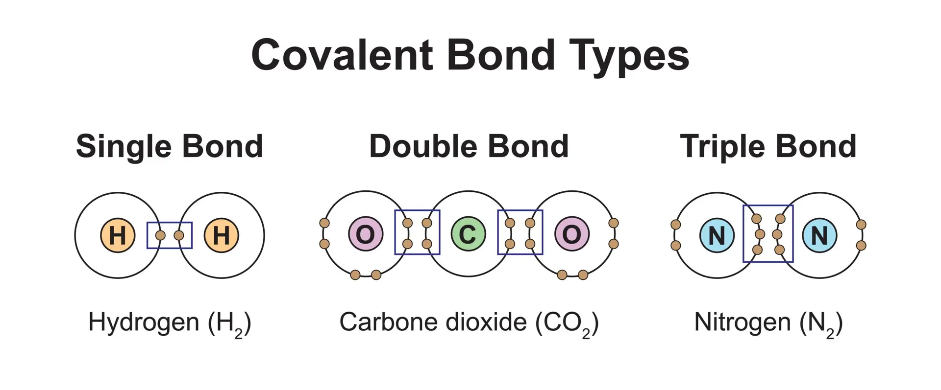 Illustration showing types of covalent bonds in molecules: a single bond in hydrogen, a double bond in carbon dioxide, and a triple bond in nitrogen.