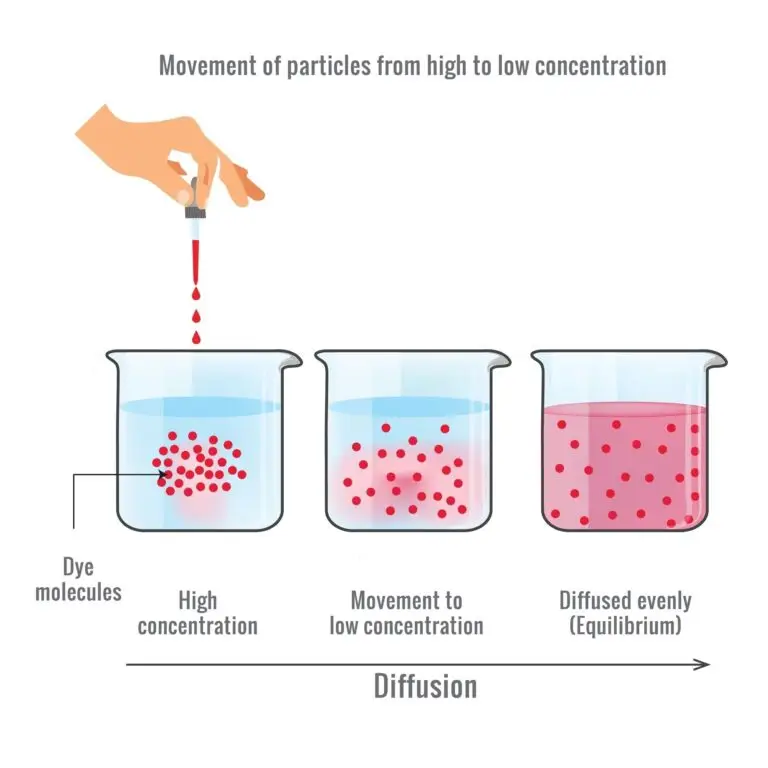 Sequential illustration showing the diffusion of dye molecules in water, from a high concentration to a uniform distribution.