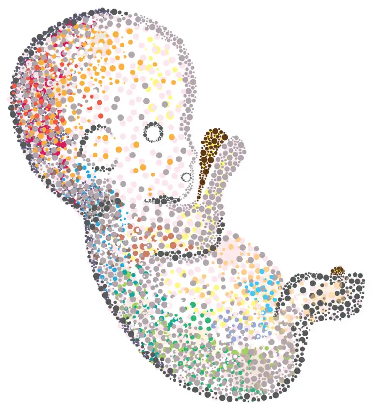 Stylized depiction of a human fetus composed of colorful dots, symbolizing genetic complexity and diversity.