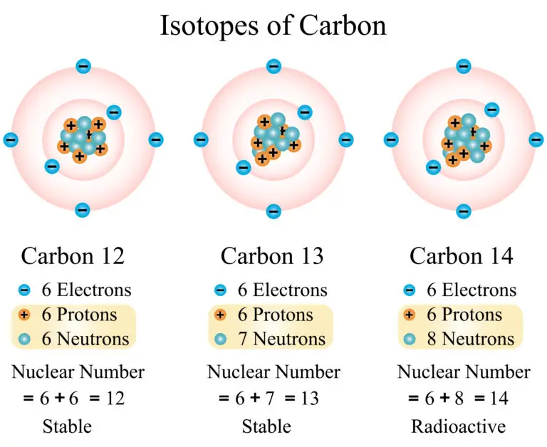 Illustration depicting the isotopes of Carbon: Carbon 12, Carbon 13, and Carbon 14 with respective atomic structures.