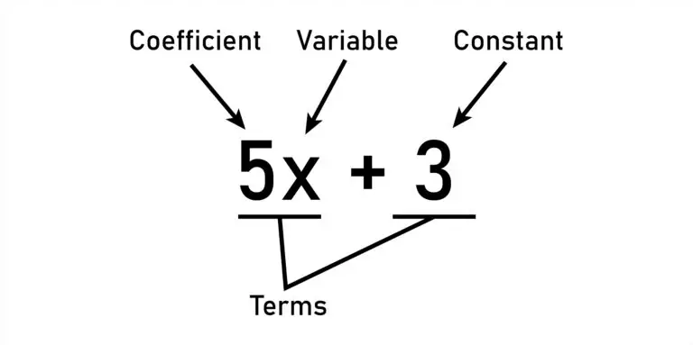 Diagram depicting the algebraic expression 5x + 3, with arrows pointing to each component labeled 'Coefficient' for the 5, 'Variable' for the x, and 'Constant' for the 3.