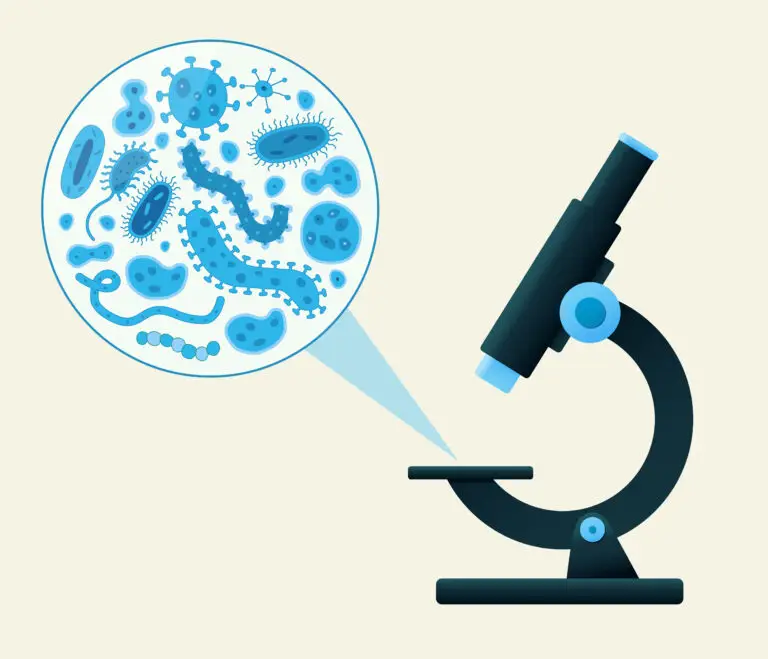 The image features a graphic of a black microscope, its lens focusing on an array of blue and light blue microorganisms, including bacteria and single-celled organisms.