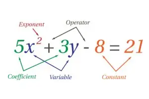 A colorful illustration of a polynomial equation, with each component labeled: 5x² (exponent labeled), +3y (variable labeled), -8 (constant labeled), = 21.