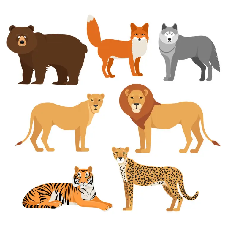 An illustration showcasing a variety of predators, including a brown bear, a red fox, a grey wolf, a lioness, a lion, a tiger, and a cheetah.