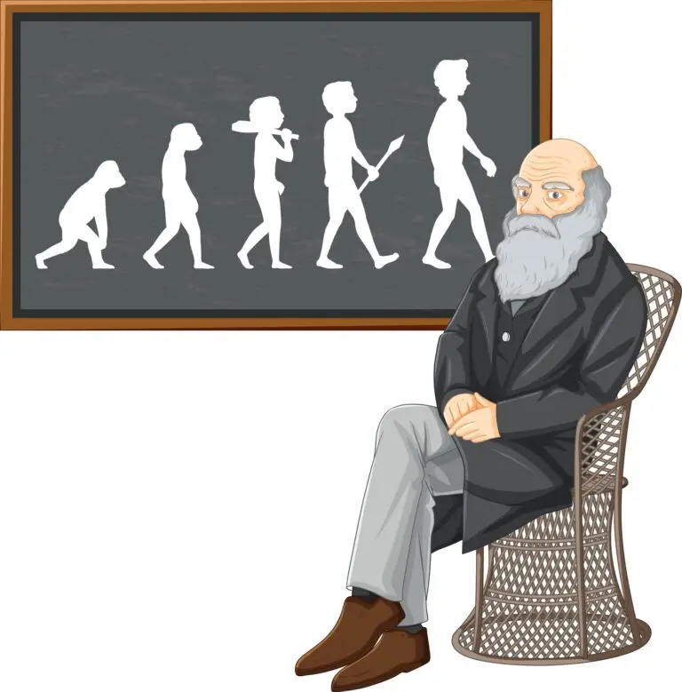 Illustration depicting Charles Darwin sitting next to a chalkboard showing the progression of human evolution.