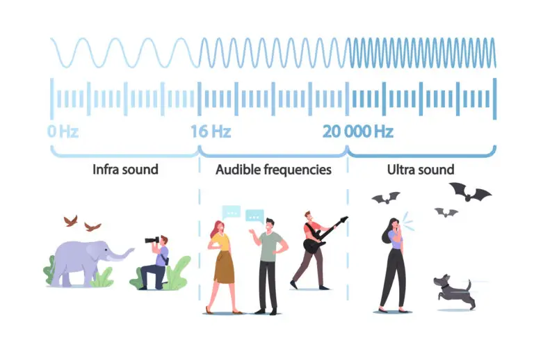 Illustration depicting the range of sound frequencies, with "Infra sound" below 16 Hz featuring an elephant, "Audible frequencies" between 16 Hz and 20,000 Hz with various people, and "Ultra sound" above 20,000 Hz with bats and a dog.