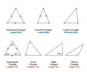 Set of six triangles showcasing various types: equilateral, isosceles, scalene, equiangular, acute, right, and obtuse triangles.