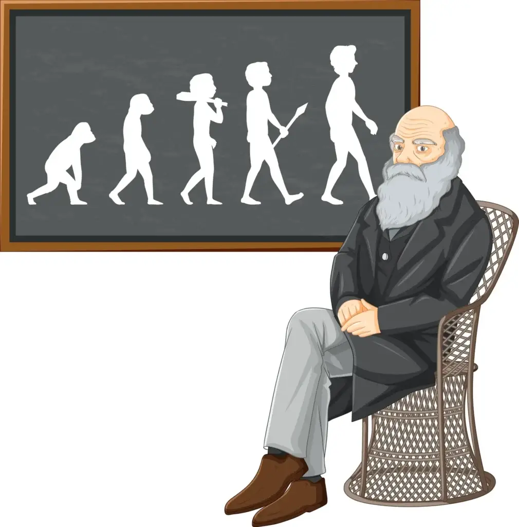 An illustration of Charles Darwin sitting on a chair with a blackboard behind him, depicting the evolutionary stages of human development from ape to modern man.