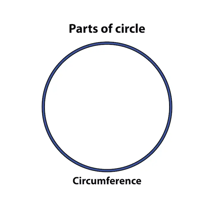 A labeled diagram of a circle showing only its circumference, represented as the outer edge of the circle.