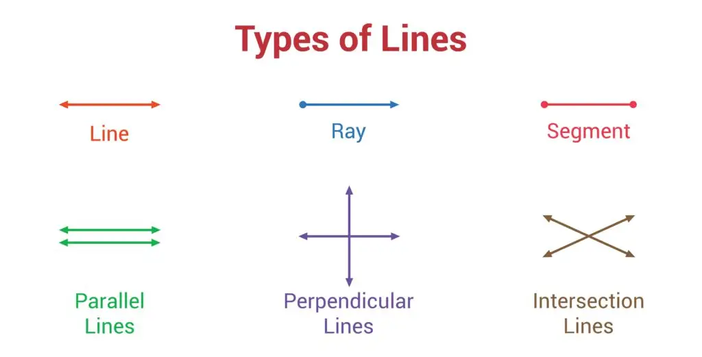 A diagram showing different types of lines, including a line, ray, segment, parallel lines, perpendicular lines, and intersecting lines.