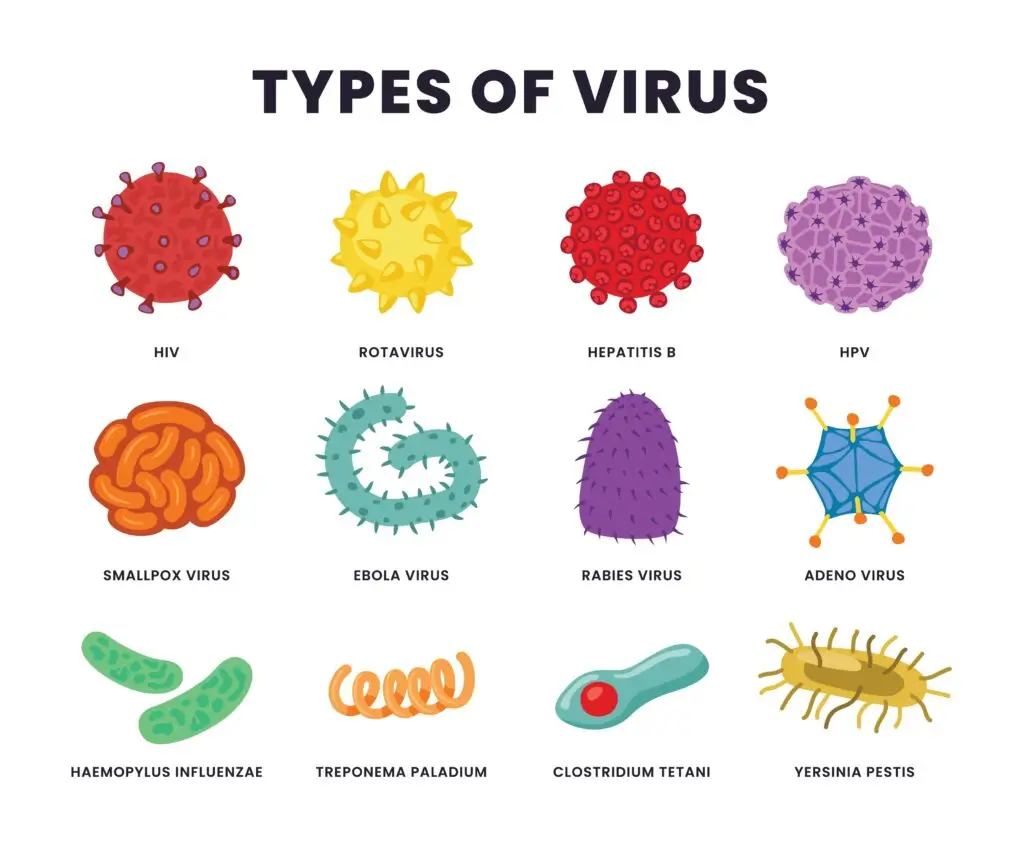 Illustration of various virus types, including HIV, Rotavirus, Hepatitis B, HPV, Smallpox Virus, Ebola Virus, Rabies Virus, Adenovirus, Haemophilus influenzae, Treponema pallidum, Clostridium tetani, and Yersinia pestis.